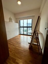 Blk 1F The Pinnacle@Duxton (Bukit Merah), HDB 4 Rooms #633333291